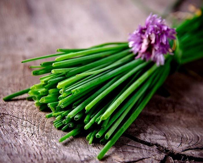 Common CHIVES Onion 200+ Seed Organic Perennial Herb Vegetable Homegrown USA🇺🇸