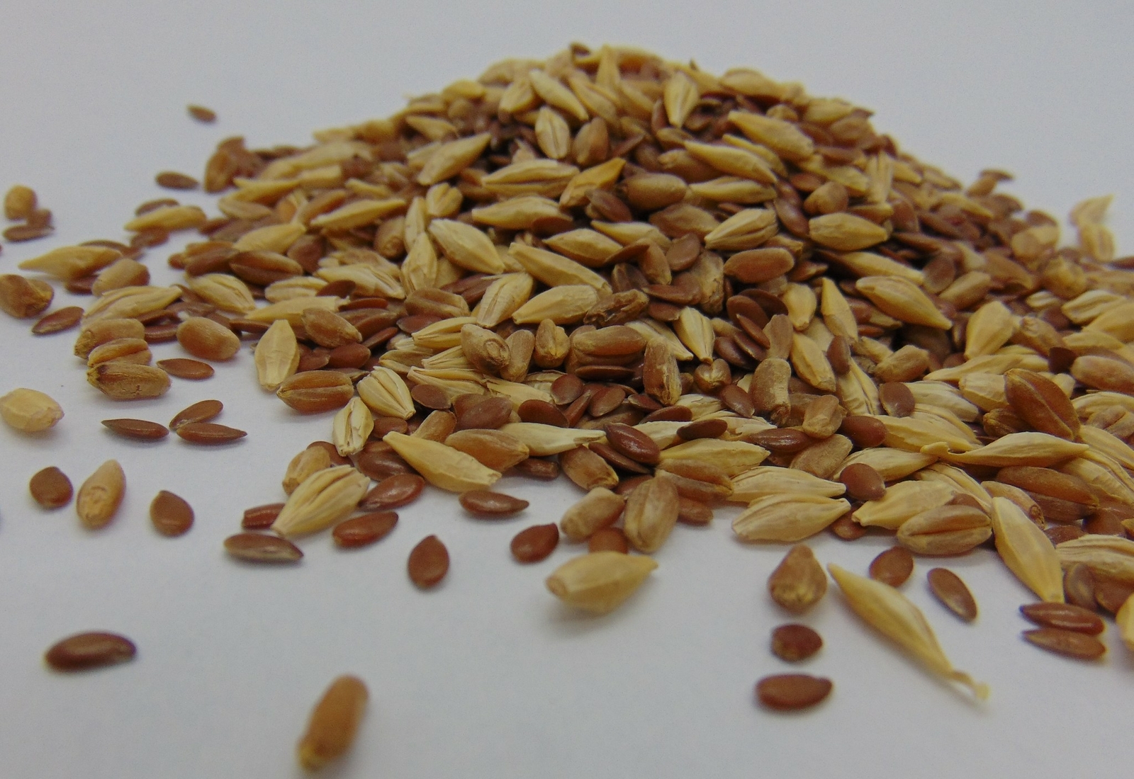 Cat Grass Mix 4 oz