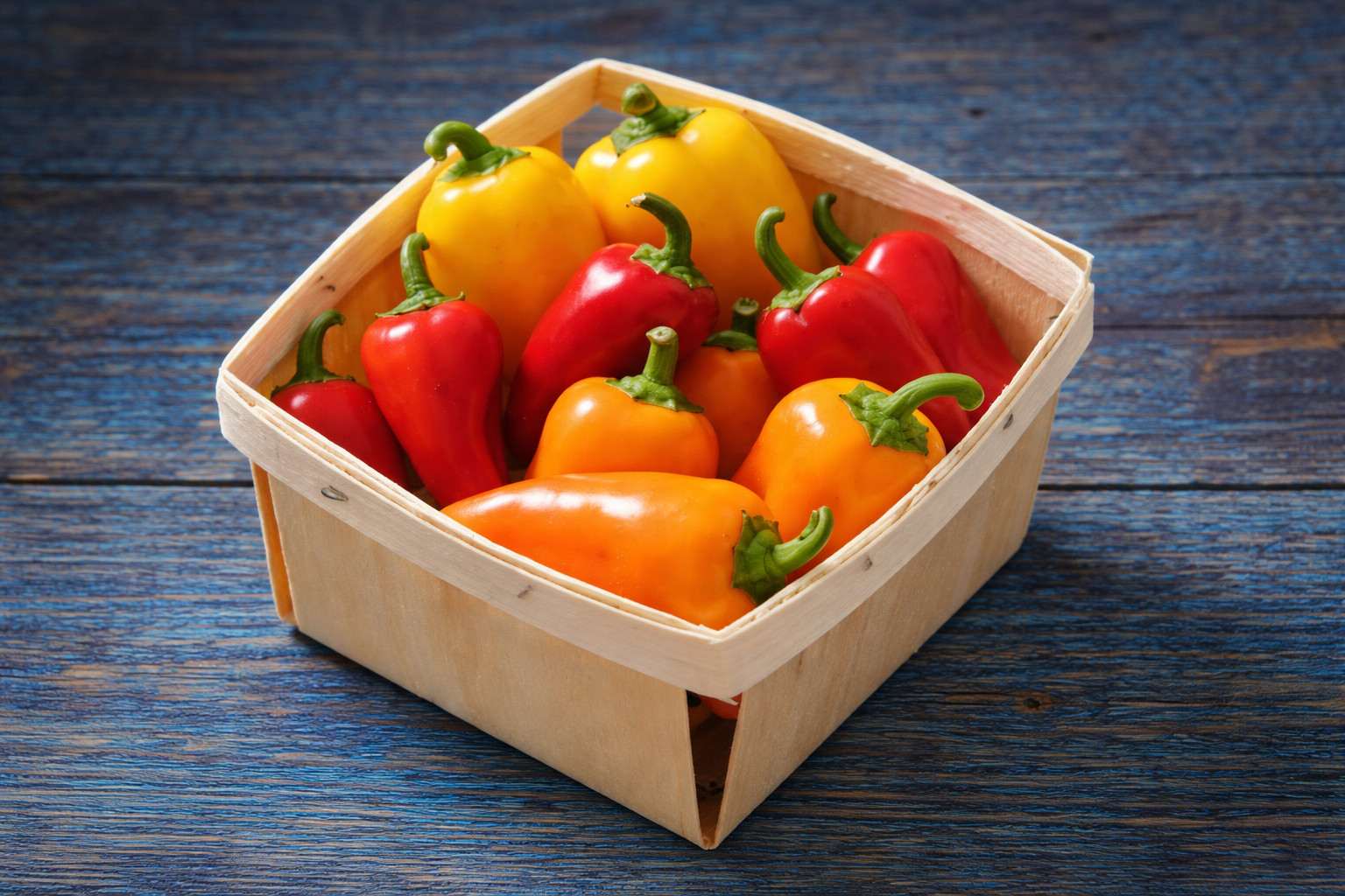 25 Organic Lunchbox Sweet Pepper Seeds Mix Red Orange Yellow 25+ Seeds Heirloom