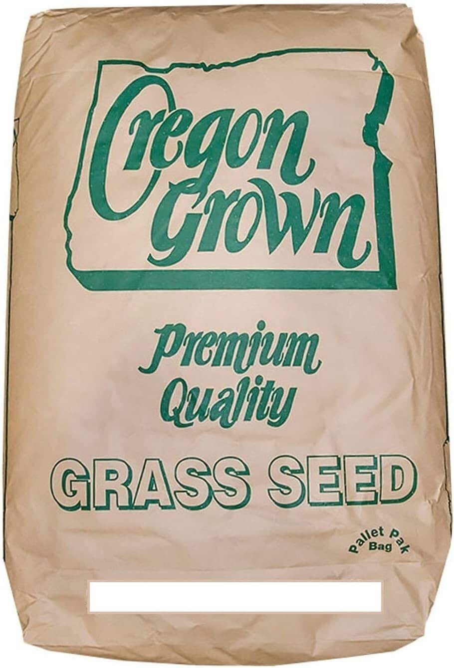 Annual Ryegrass Seeds for Planting – Premium Quality Rye Grass