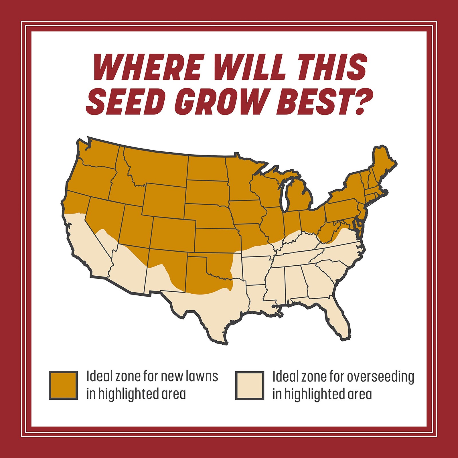 Smart Seed Perennial Ryegrass 3 lb