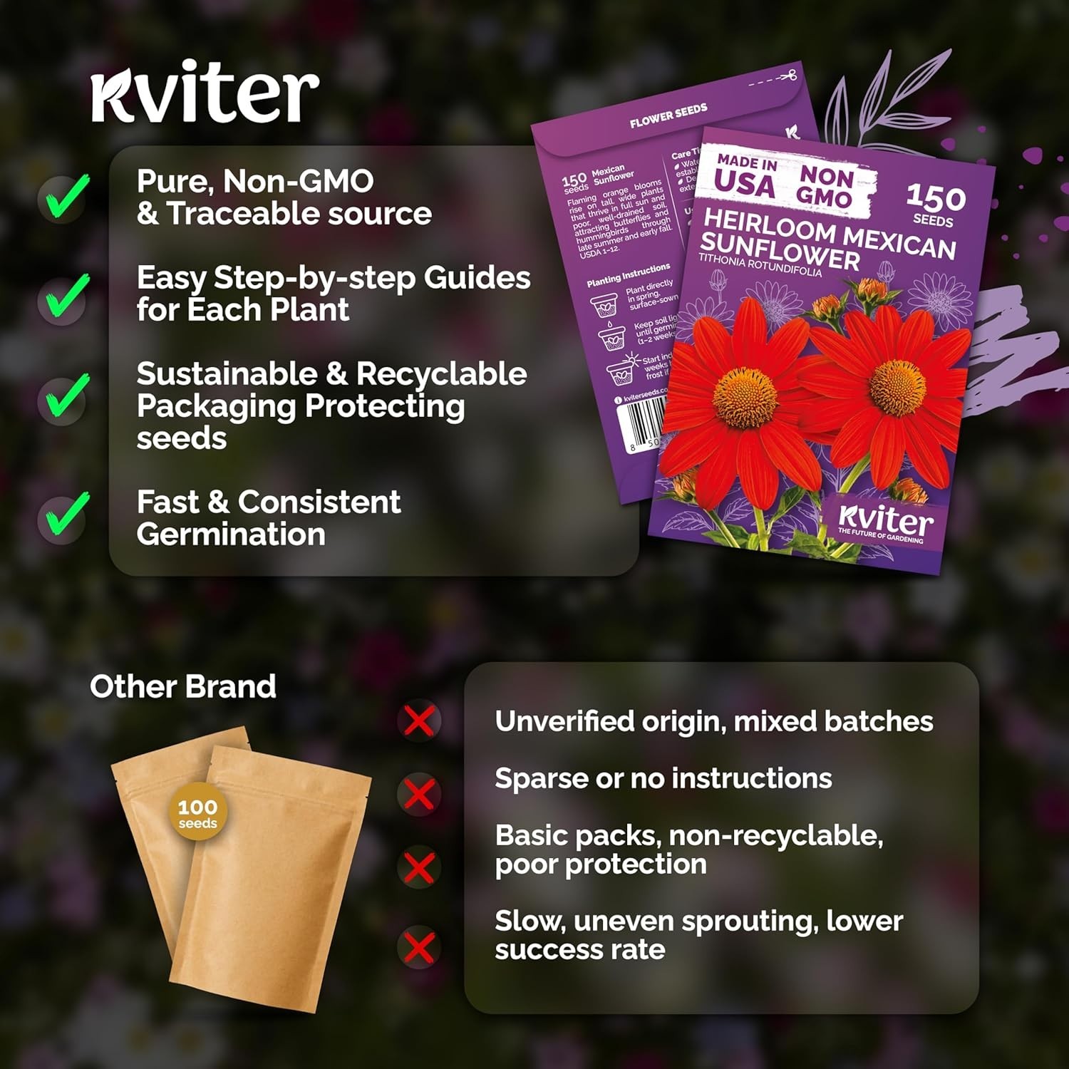 Low Maintenance 150 Count Mexican Sunflower Seeds – Full Sun, Bold Orange Blooms