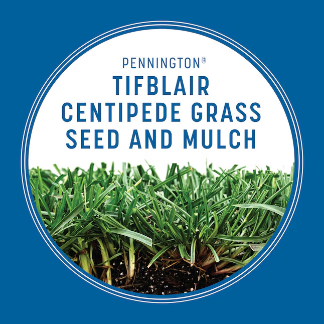 SALE- Pennington Tifblair 5-lb Centipede Grass Seed