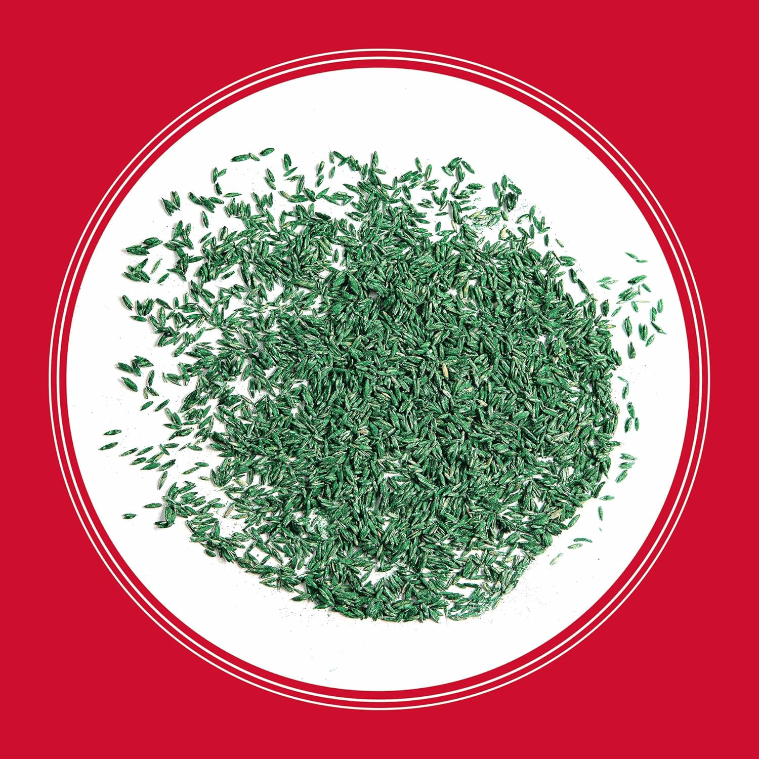 Rebels Tall Fescue Grass Seed Blend – 7 lb for Lush Lawns