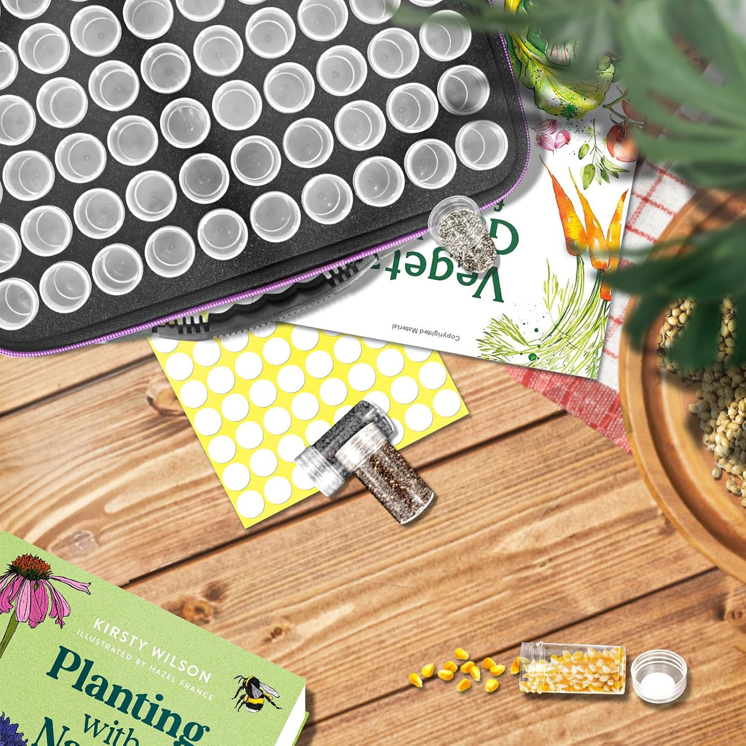 60 Slots Seed Storage Organizer with 10 Envelopes, Garden Seed Packet Container