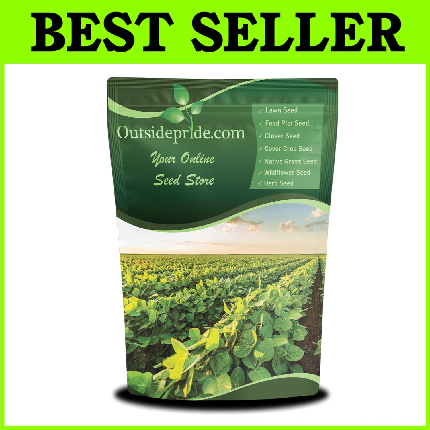 High-Protein Heirloom Soybean Seeds – 10 lbs