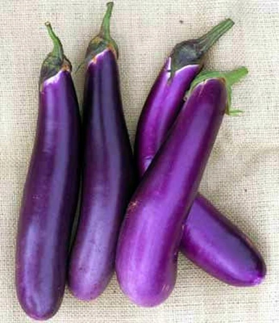 200+ LONG PURPLE EGGPLANT SEEDS – HEIRLOOM – ORGANIC ~ NON-GMO