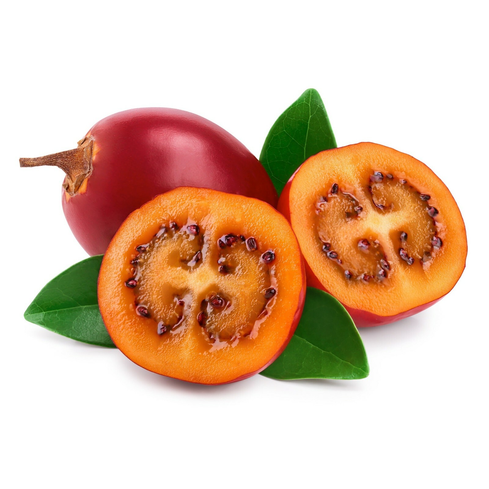 Red Tamarillo Seeds ~Solanum betaceum~ Easy to Grow ~Cyphomandra~ Tree Tomato