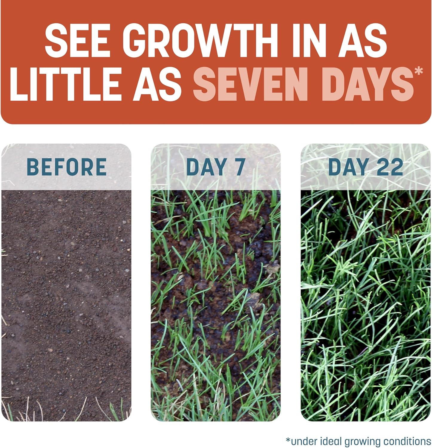 Smart Patch Bermudagrass 5Lb 100 Sq. Ft. Grass Seed Bare Spot Repair with Mulch
