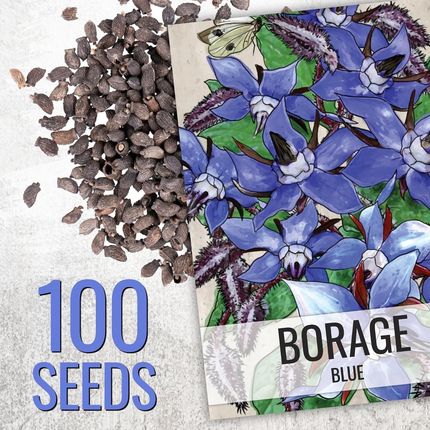 Borage Seeds for Planting Blue Star Flowers – Heirloom Non-GMO & Untreated – …