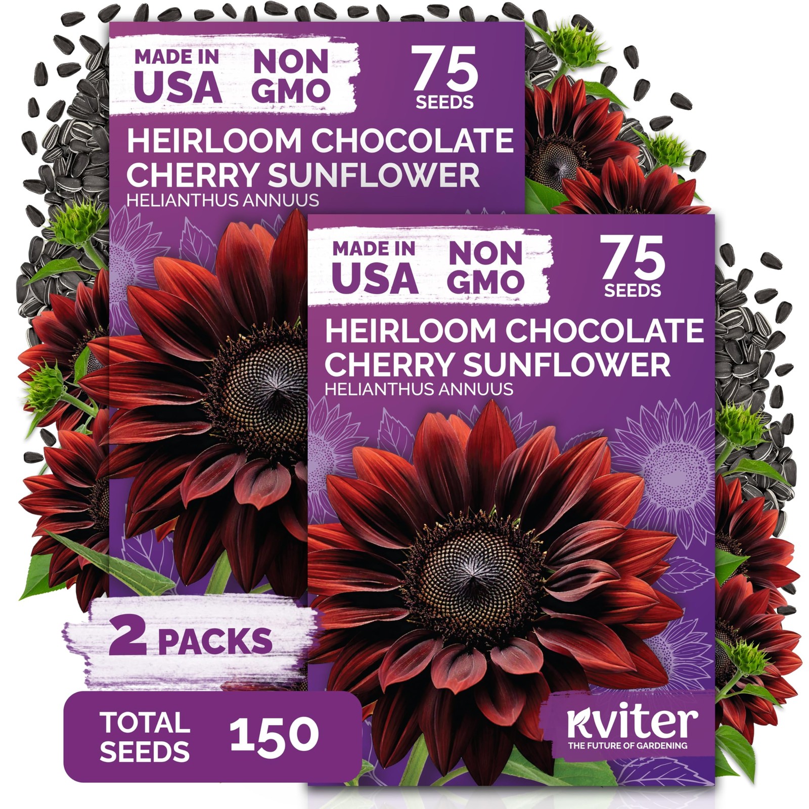KVITER 150 Chocolate Cherry Sunflower Seeds (Helianthus annuus), 2 Pack
