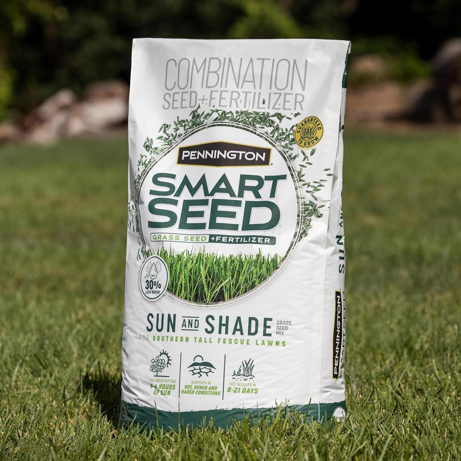3 lb Tall Fescue Grass Seed for Sun and Shade – Perfect for Hot Climates