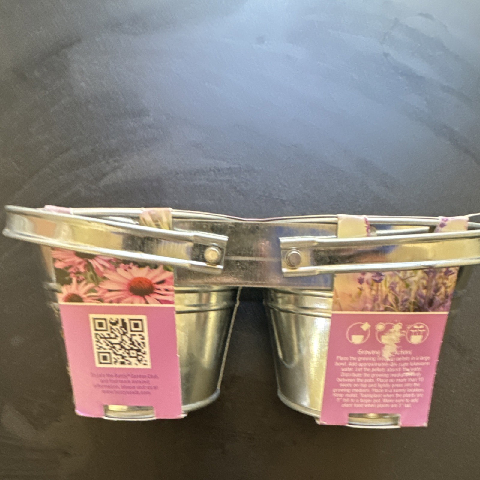 Buzzy Grow Kit Lavender & Coneflower Purple Pink Attracts Butterflies