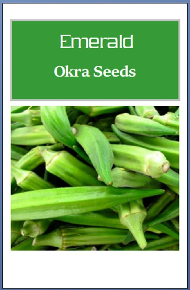 Emerald Okra Seeds | NON-GMO Okra Seeds | Fresh Heirloom Garden Seeds