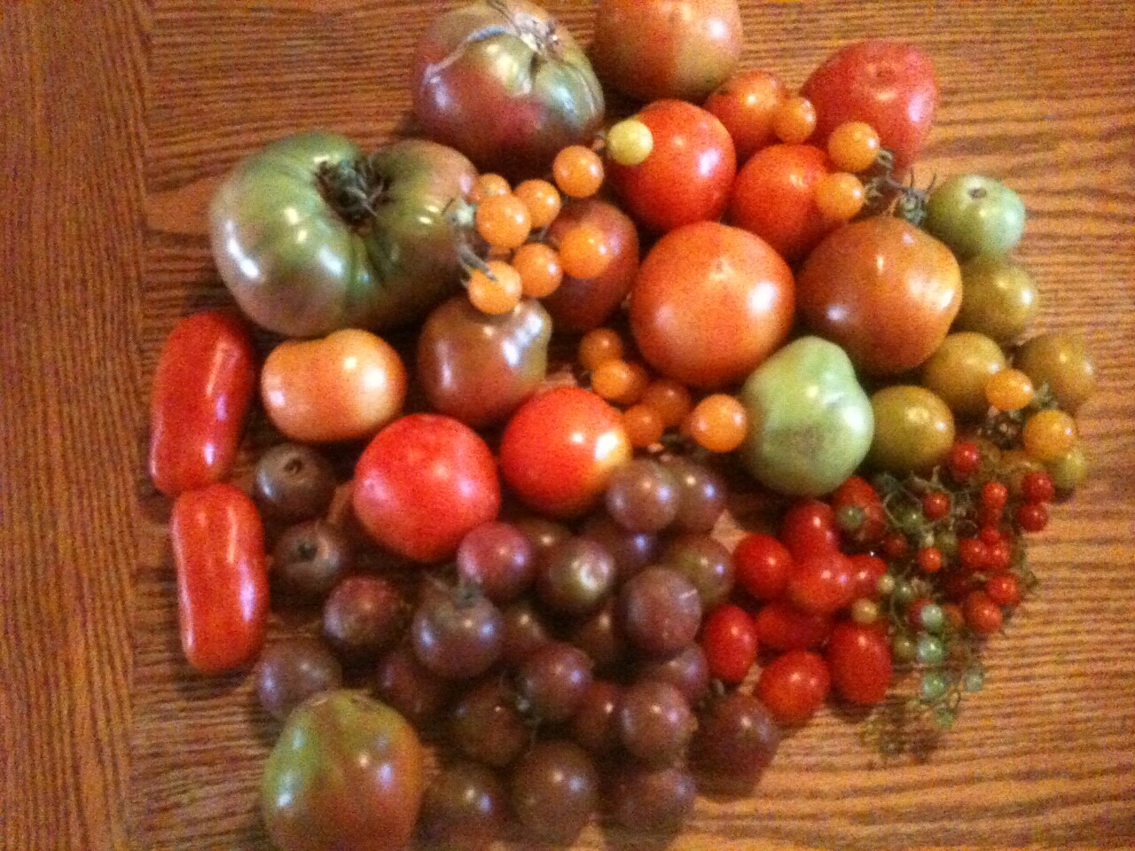 56,000 SEED, 151 Heirloom Varieties! PREPPERS/SURVIVALIST DOOMSDAY SEED CACHE