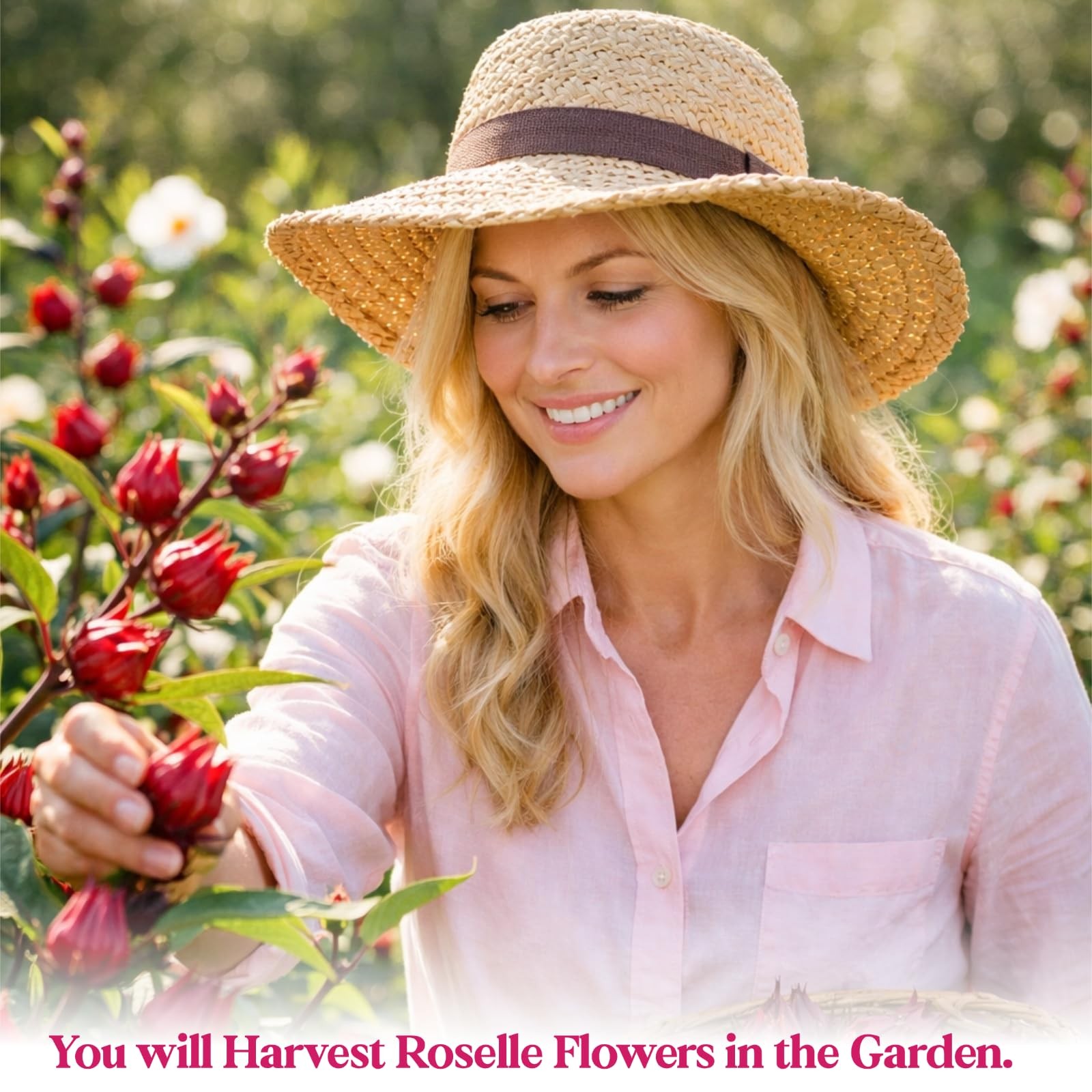 300+ Roselle Seeds for Planting – Hibiscus Sabdariffa for Tea, Jam & Garden
