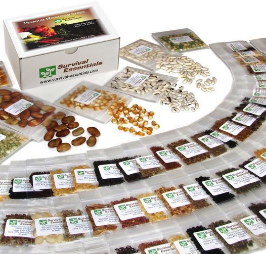 Heirloom Non Hybrid GMO Seed Organic Fruit Vegetable Disaster Emergency Garden