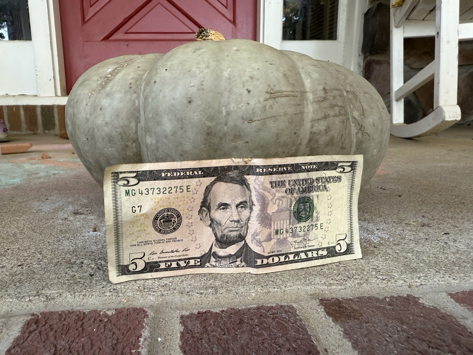Seeds #20: Gray, green, blue, stacker Pumpkin. (10 ct)
