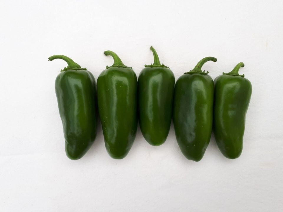 Pepper – Hot – TAM Jalapeno | NON-GMO Jalapeno | Heirloom Seeds