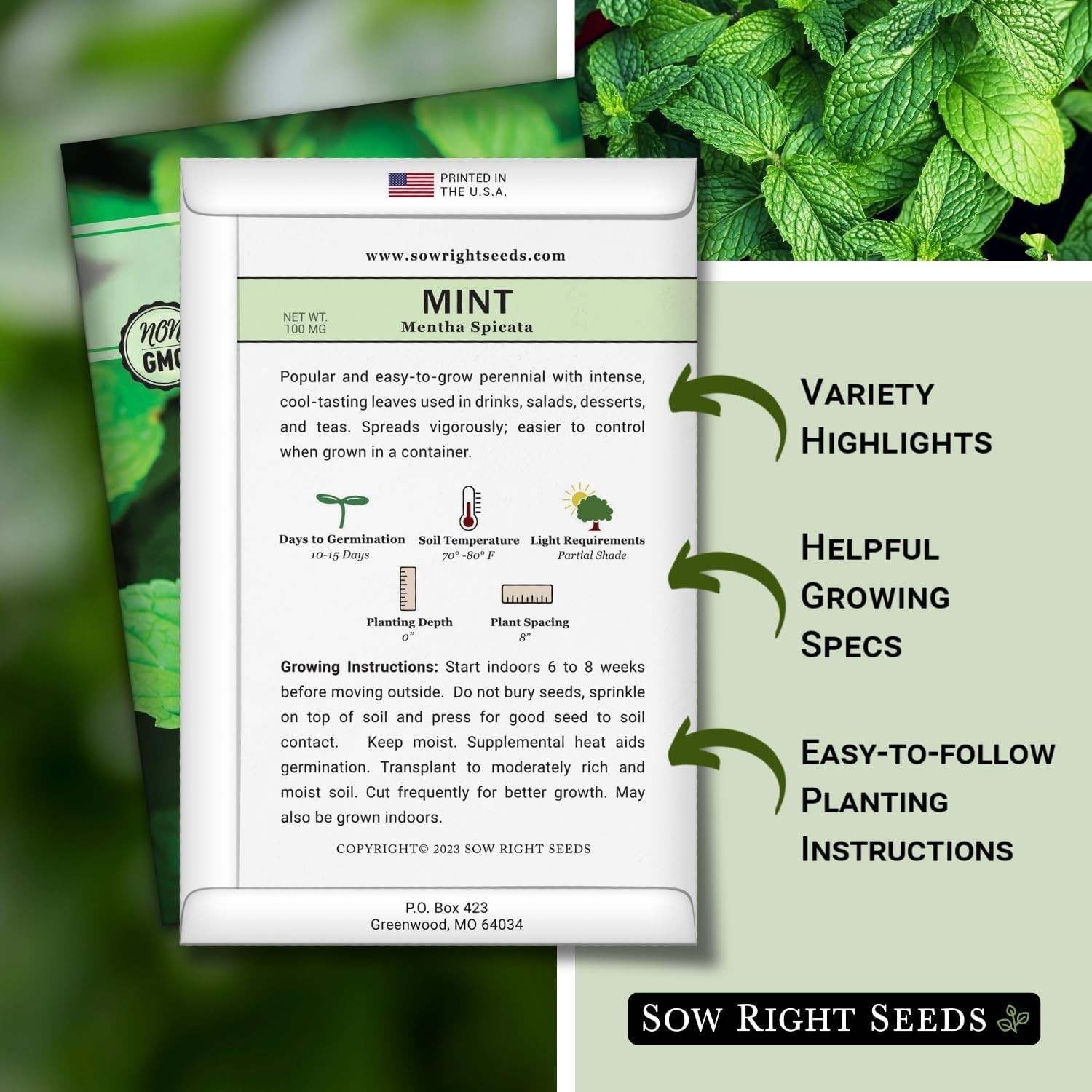 Grow Fresh Mint – Easy Heirloom Seeds for Indoor or Outdoor Culinary Gardens