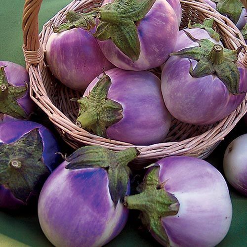 Round Mauve Eggplant Seeds 50+ Solanum Melongena Vegetable NON-GMO USA FREE S&H