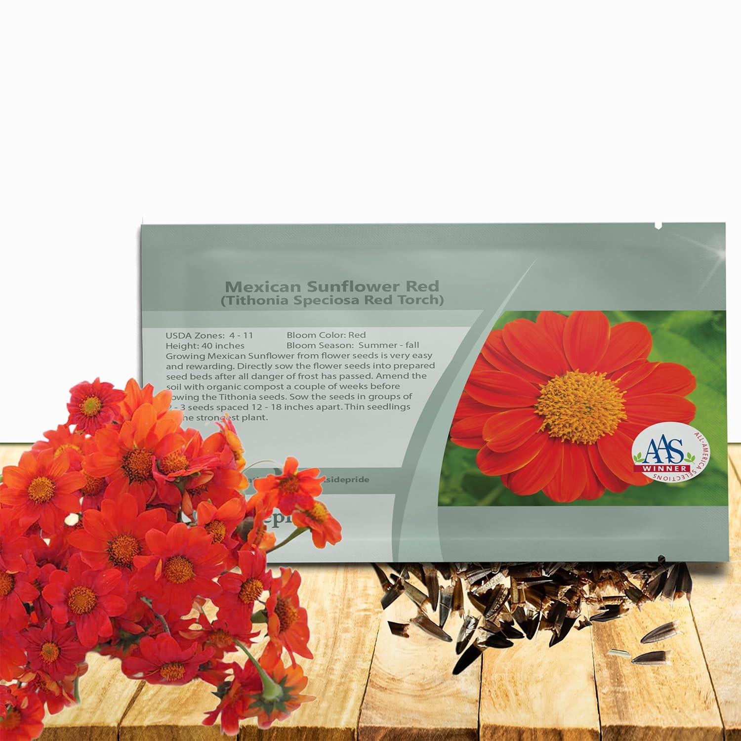 Red Torch Mexican Sunflower Seeds – Fast-Growing, Drought-Tolerant Annuals