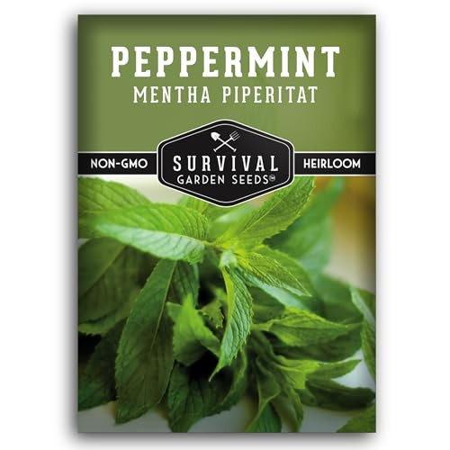 – Peppermint Seed for Planting – Mentha Piperita Packet with Instructions to 1