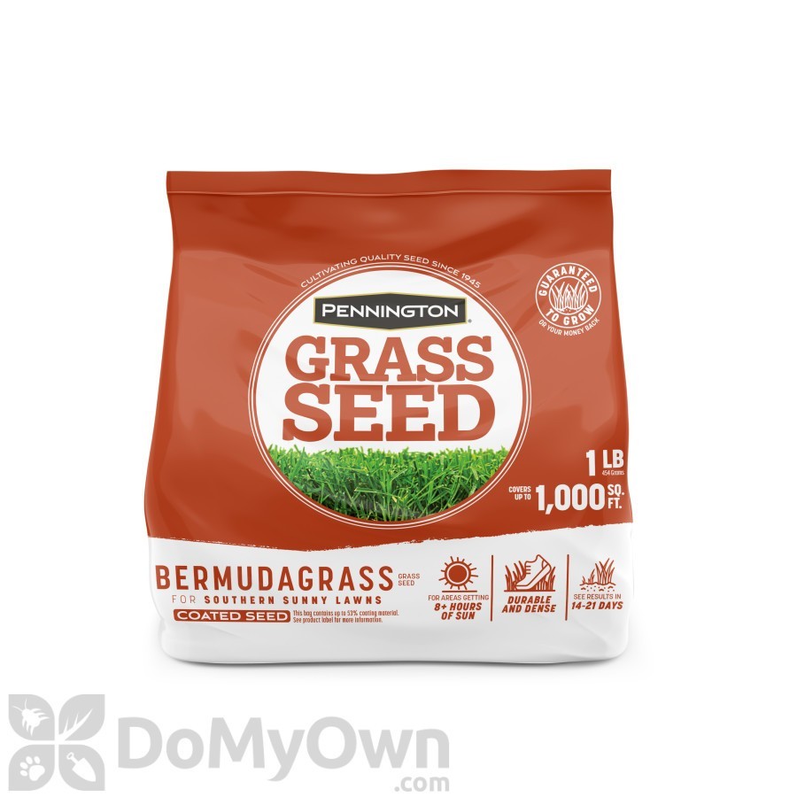 Pennington Bermudagrass Seed / 1 LB covers 1000 Ft