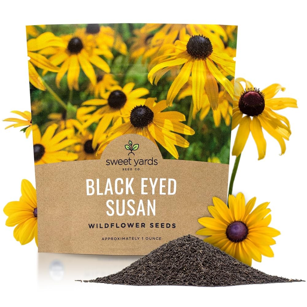 Black Eyed Susan Seeds – Extra Large Packet – Over 100,000 Open Pollinated No…