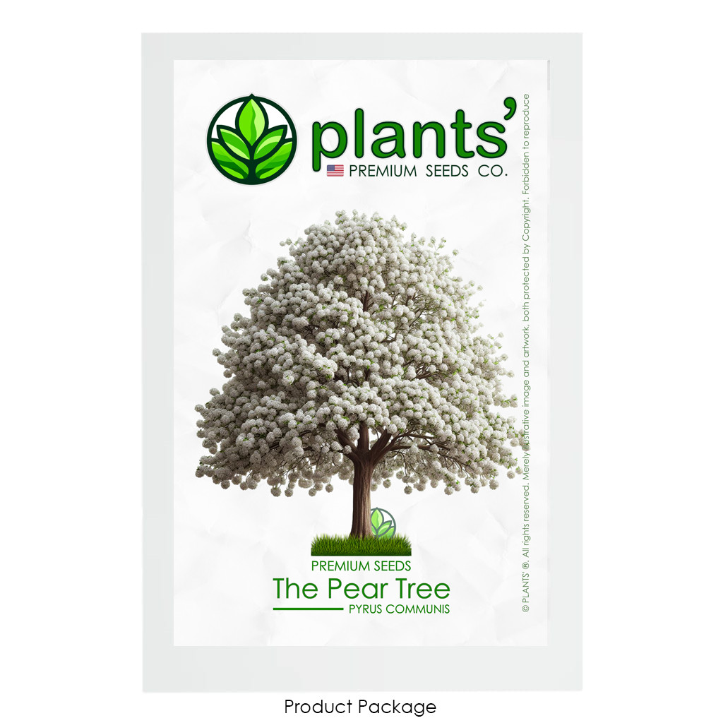 The Pear Tree | Premium Seeds | Pyrus communis ‘Spring’ | Plants’®
