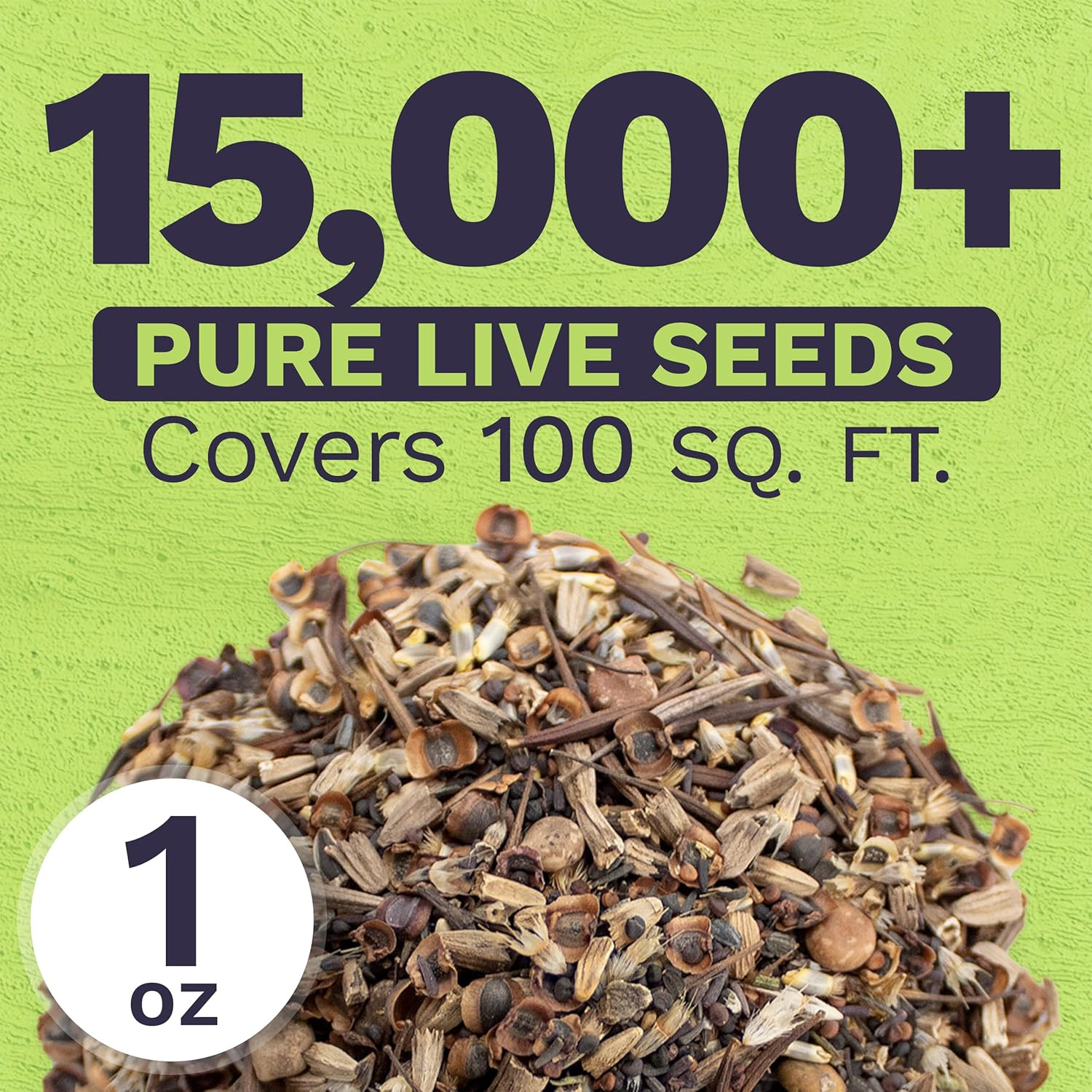 Texas Oklahoma Wildflower Seeds Mixture – Bulk 1 Ounce Packet – over 15,000 Nati