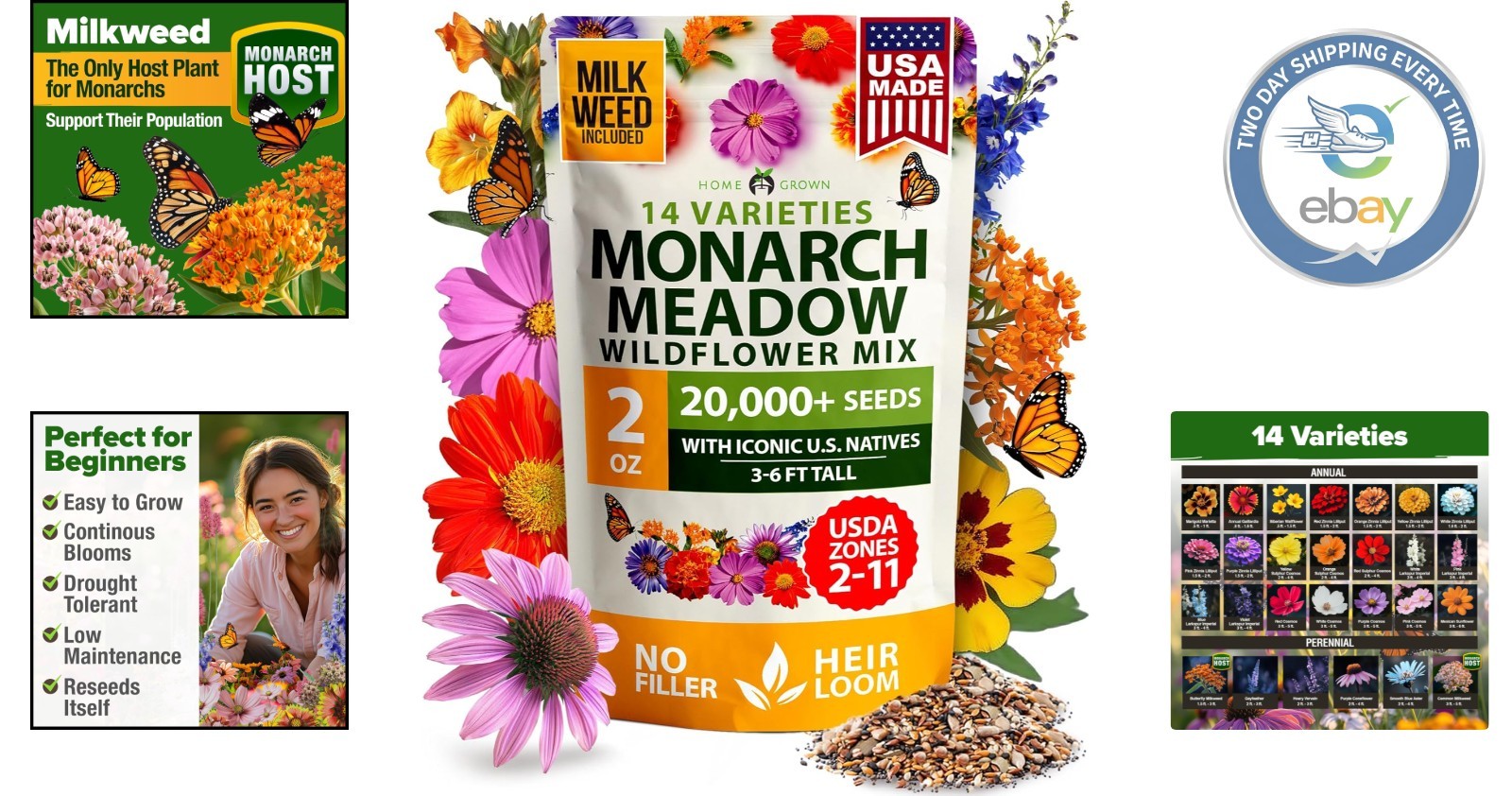 Spring-Summer Blooming Monarch Wildflower Seeds – 20000 Non-GMO Seeds for Beauty