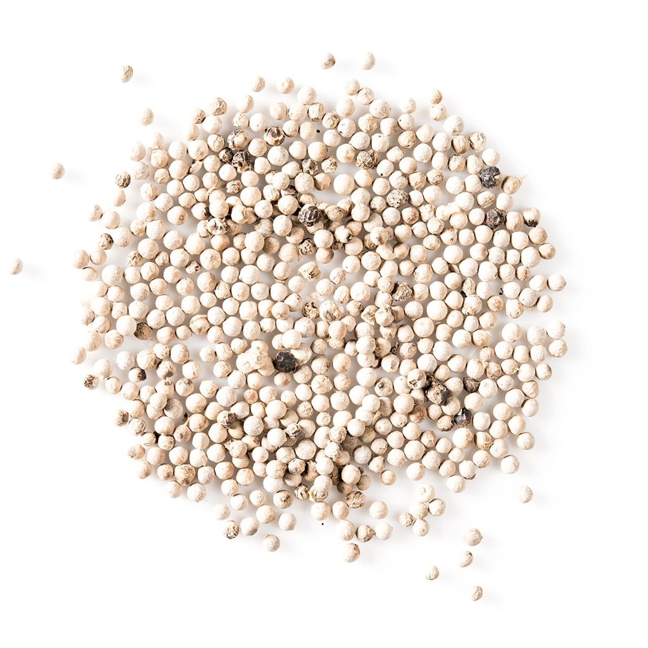 White Peppercorn Seeds (30) / Vining / Florida Grown / Rare