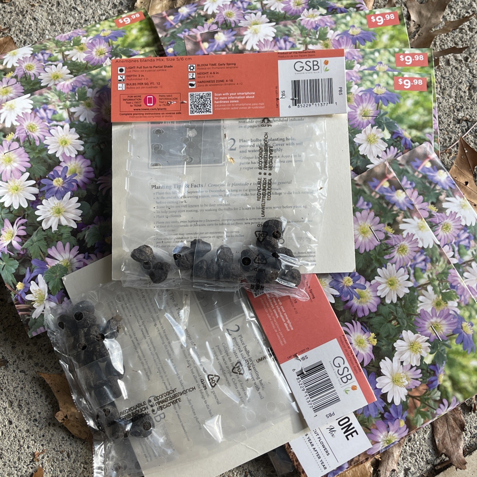 150 COUNT! ANEMONE “BLANDA MIX” COLORS: PURPLE WHITE LILAC YELLOW IVORY