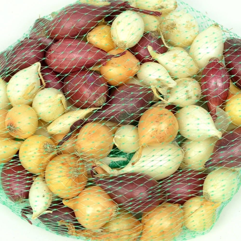 Non-Gmo Onion Sets, 8 Oz, Red, White, Yellow Mix, Home Garden Assortment, Planti