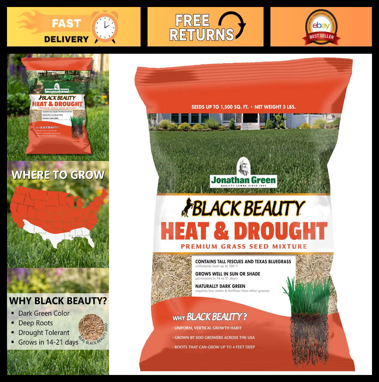 Heat & Drought Resistant Grass Seed – Black Beauty Cool Season Lawn Seed 3 lb