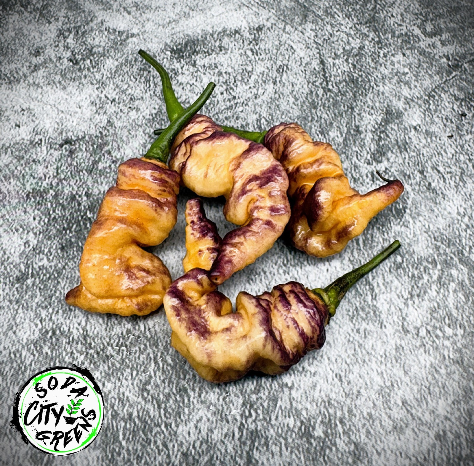 Thors Thunderbolt Pepper Seeds