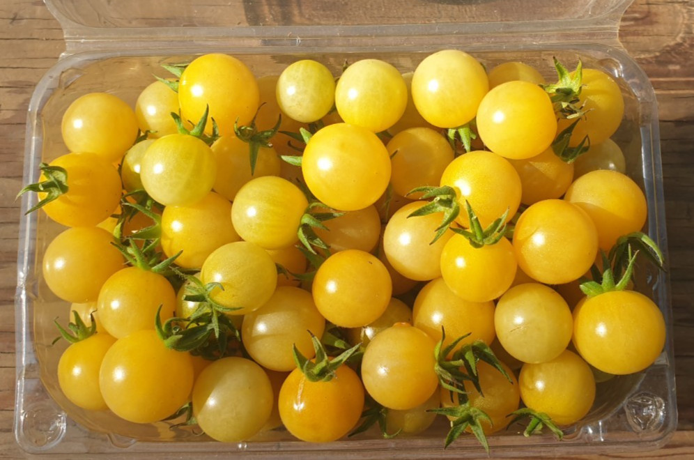 White Cherry Heirloom Tomato Seeds x 30 Minimum Plus Free Gift