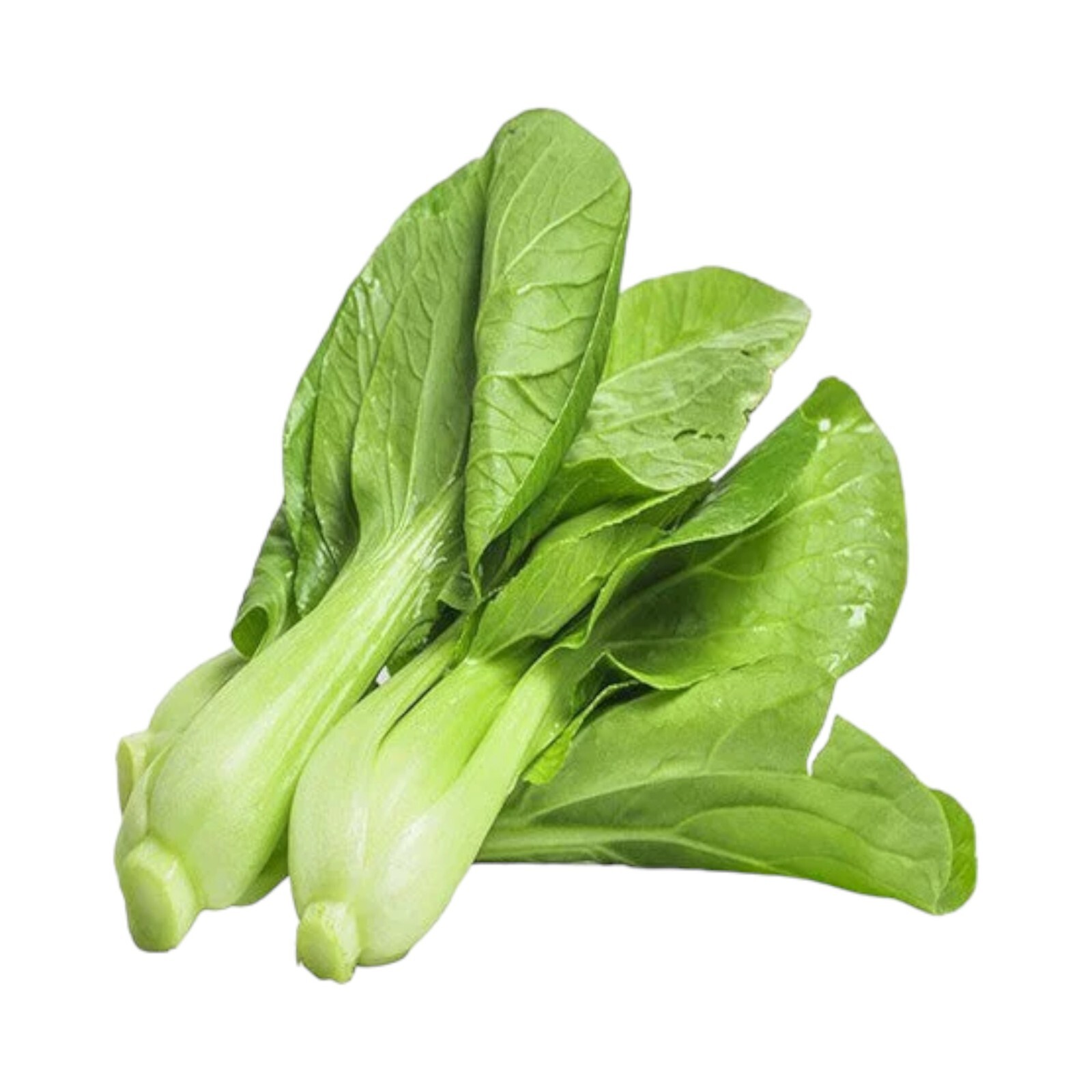 1000pcs ‘All Year Round’ Chinese Cabbage Seeds – Heirloom & Organic, Non-GMO.