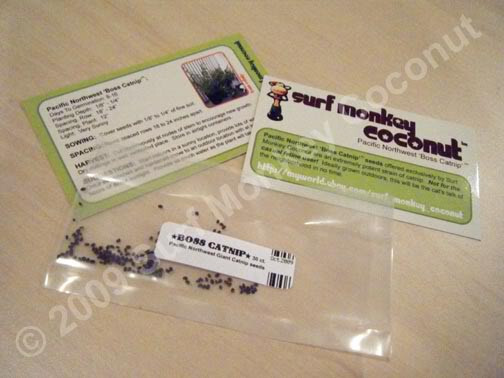 Killer Catnip Seeds! With FREE Instruction Card! Potent Pacific NW Giant Plant!