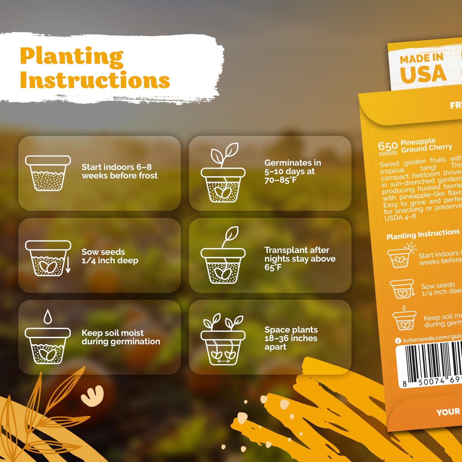 KVITER 1,300 Pineapple Ground Cherry (Physalis Pruinosa) Seeds, 2 Pack