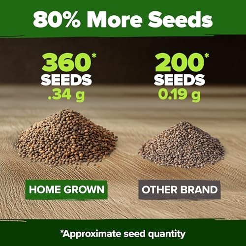 Culantro Seeds 360 Non GMO Heirloom Herb Seeds Heat Resistant Grow Indoors