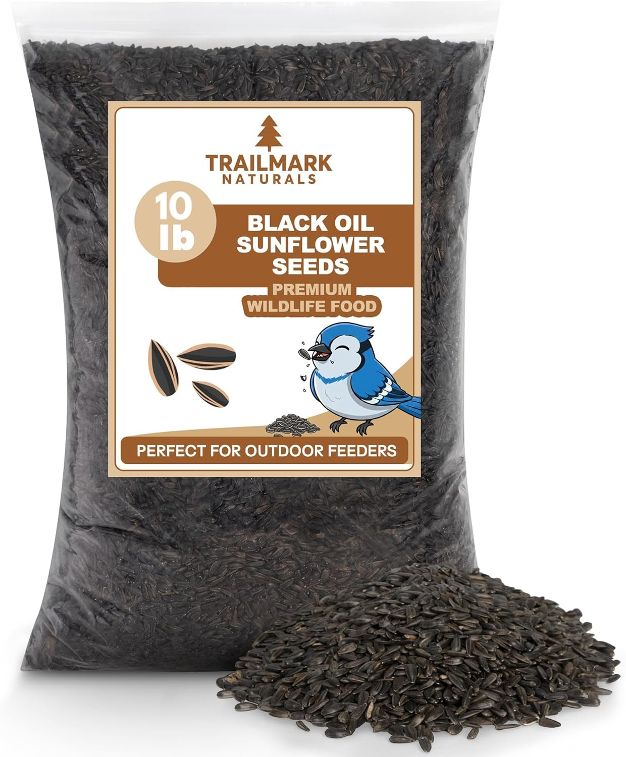 10 Pound Black Oil Sunflower Seeds for Birds – Premium Wildlife Food – Non – GMO