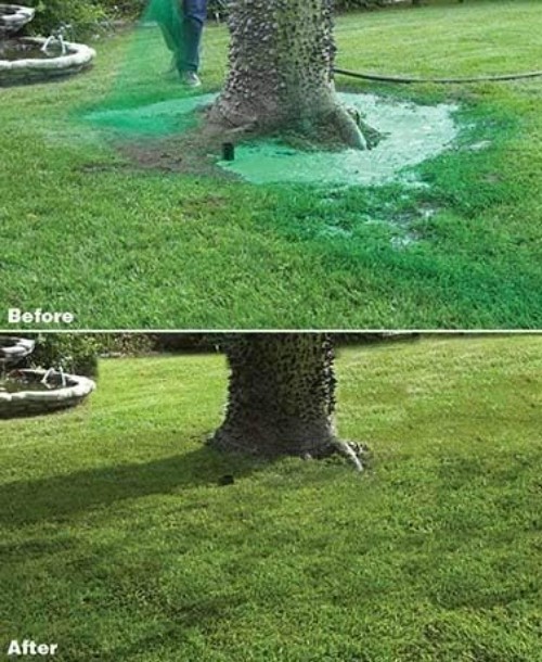 Liquid Lawn Bermuda Rye Kit – Grow Grass Effortlessly Where You Spray – 500 sqft