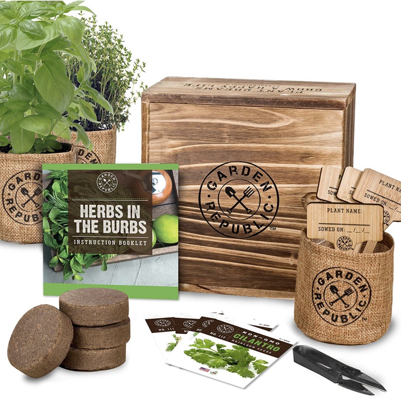 Indoor Herb Garden Start Kit NonGMO Basil Thyme Parsley Cilantro Balcony Window