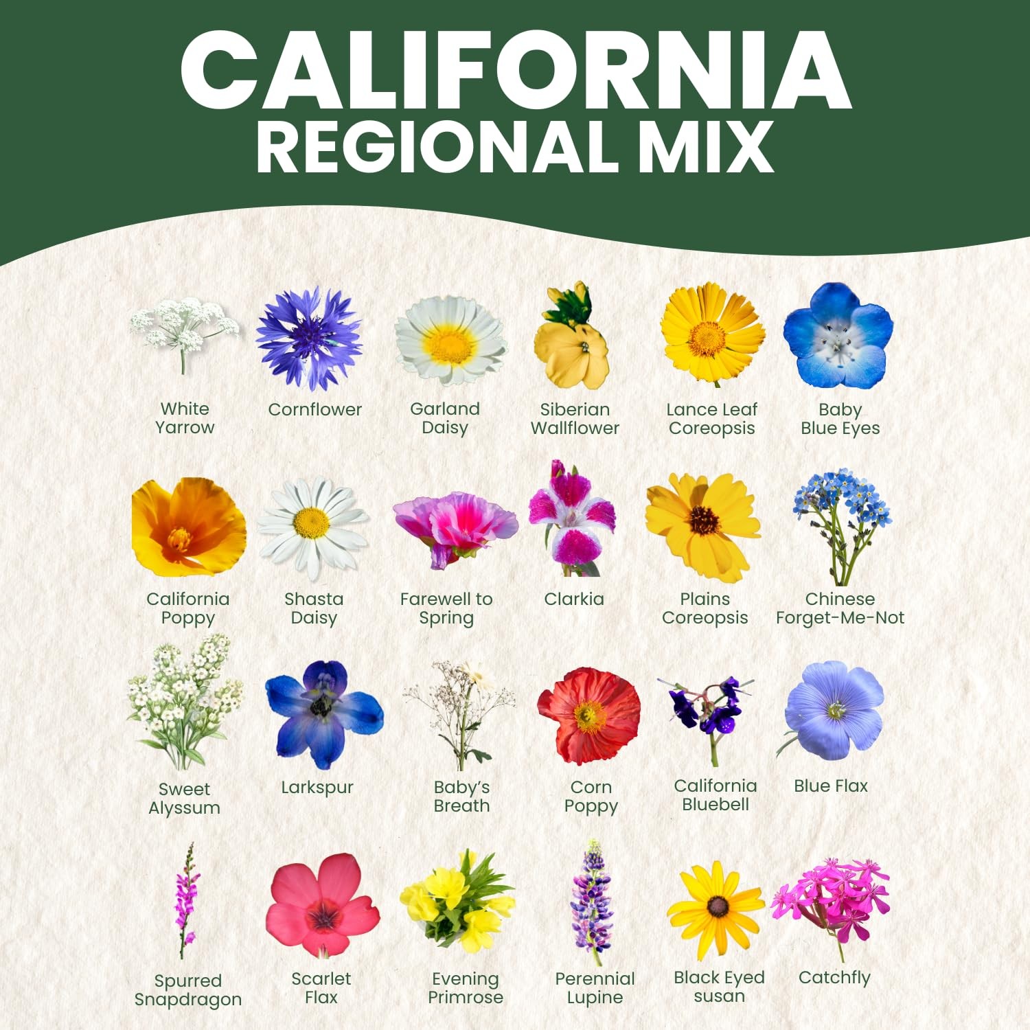 California Regional Seed Mix – 19,000 Seeds for Planting – 1 Ounce Pouch