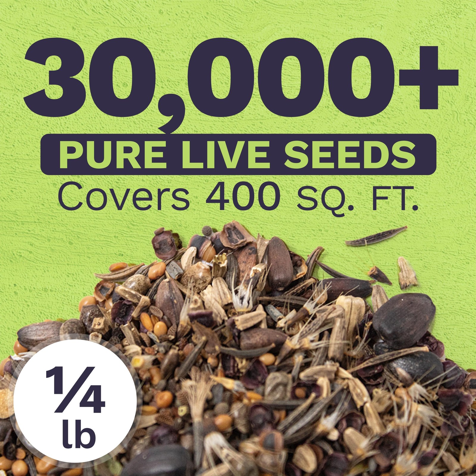 Bee Friendly Wildflower Seed Mix – Bulk 1/4 Pound Bag – Over 30,000 Open Poll…