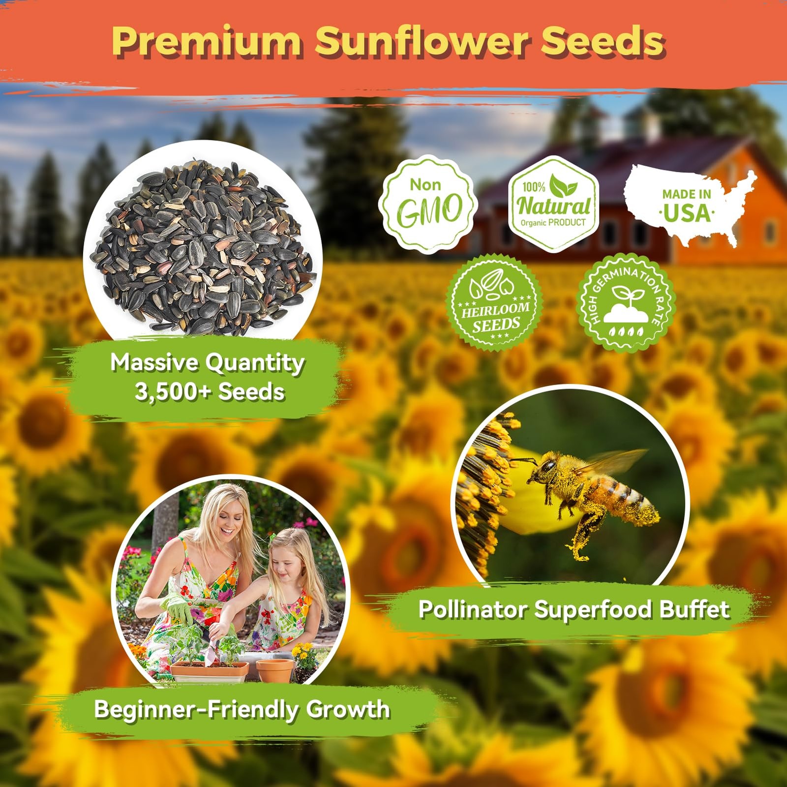 Sunflower Seeds for Planting | Giant Mammoth Sunflower Bulk Packet 3000+ Heir…