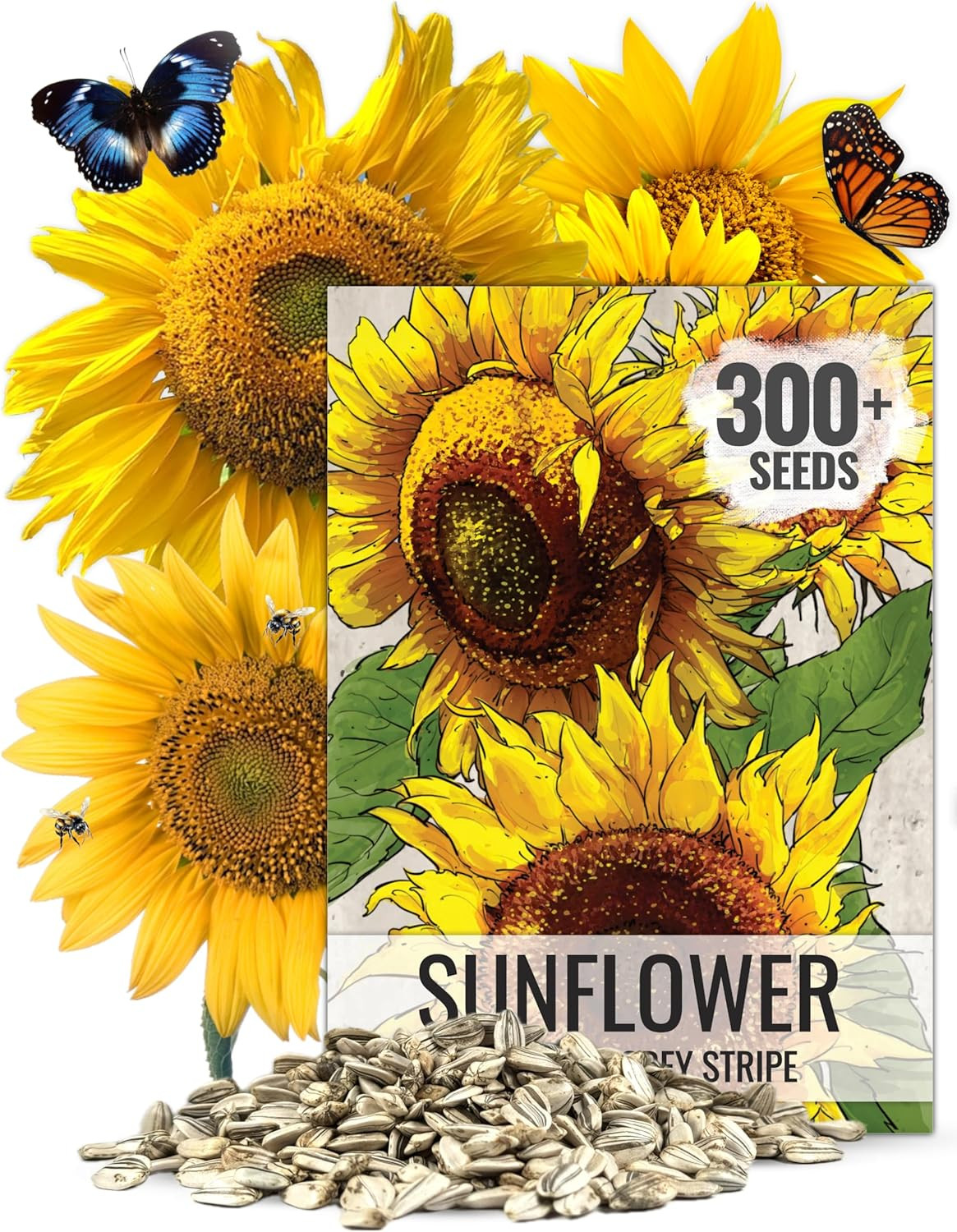 , 1 Ounce Mammoth Sunflower Seeds to Plant (Helianthus Annuus Grey Stripe) Re-Se