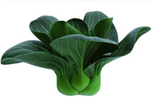 Non-GMO Asian Vegetable Seeds 4 Variety（黑大头，矮脚黄，乌塌菜，早熟5号）Pack #1 3000+seeds